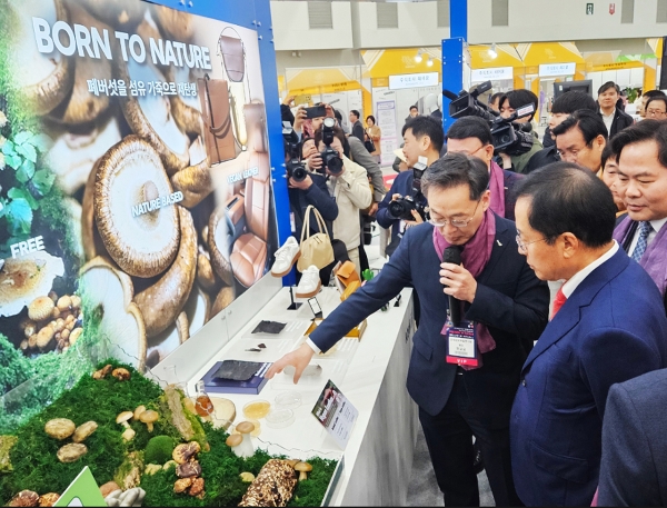 대구시 홍준표 시장에게 버섯을 이용한 가죽제품을 설명하는 호요승 섬유개발연구원 원장.